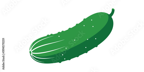 An isolated vector illustration of a green cucumber on a white background.