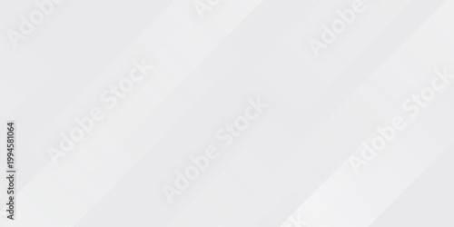 White abstract background. Silver effect texture. Light gray colour textur. Grey platinum pattern. Modern backdrop. Gradient delicate surface print. Design bg for business prints. Vector illustration