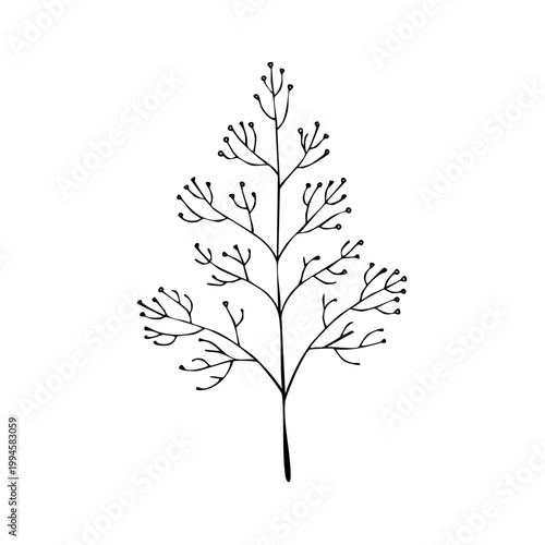 Minimalist botanical drawing of a delicate wild plant with tiny buds and branches, hand-drawn line art