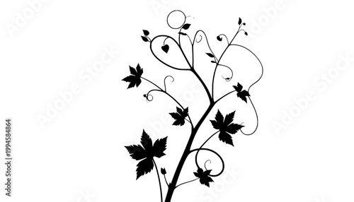 abstract floral background