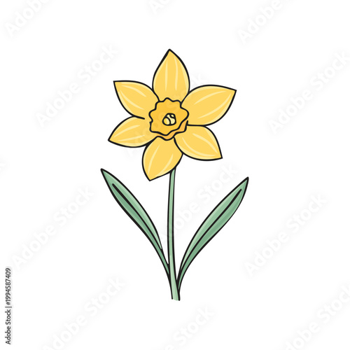 Hand-drawn yellow daffodil with green stem and leaves in simple illustration style