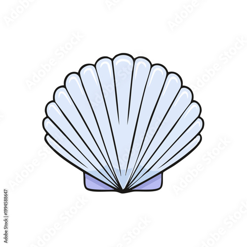 Stylized scallop seashell illustration with radiating lines and subtle shading