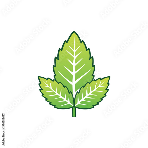 Vibrant green mint leaf illustration with serrated edges and detailed veins