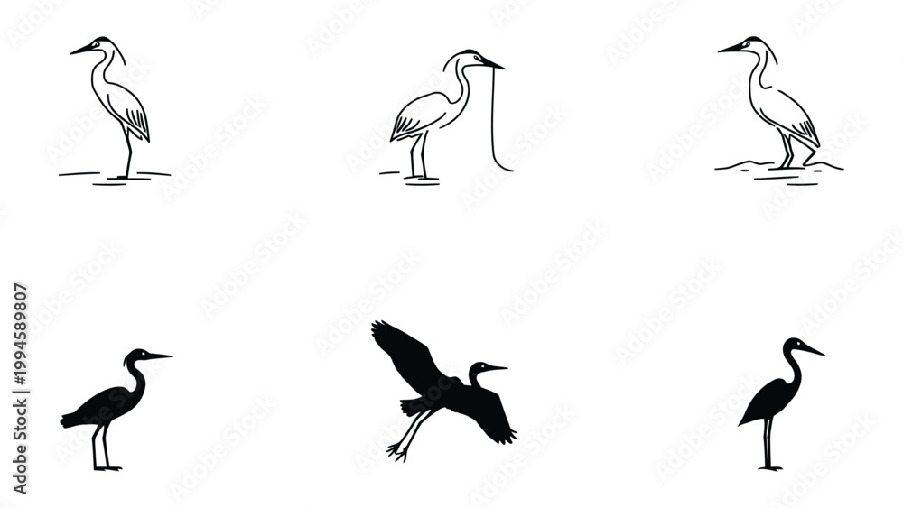 Fototapeta premium Stunning Crane Silhouette Collection: A captivating collection of crane silhouettes, offering diverse poses and perspectives, perfectly suited for design projects.