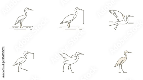 Heron Icon Set: A minimalistic illustration set of herons in various poses, from standing to soaring, perfectly crafted for visual projects.