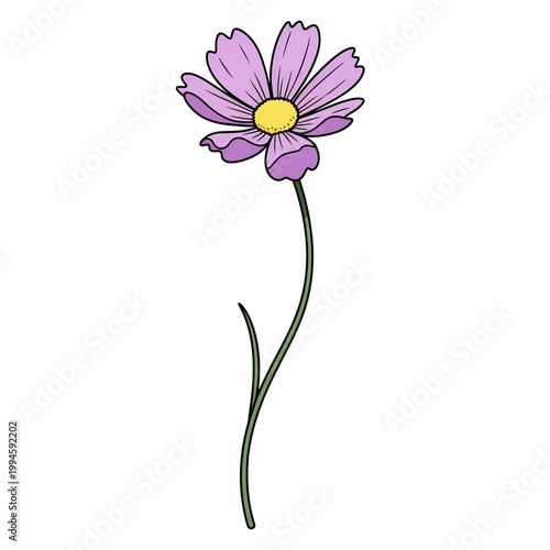 Single purple flower representing beauty and natural elegance.
