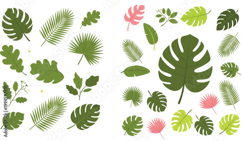 Tropical leaves illustration collection featuring monstera palm fern and various green foliage elements in modern flat botanical design style
