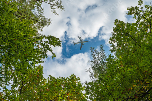 plane flying over trees