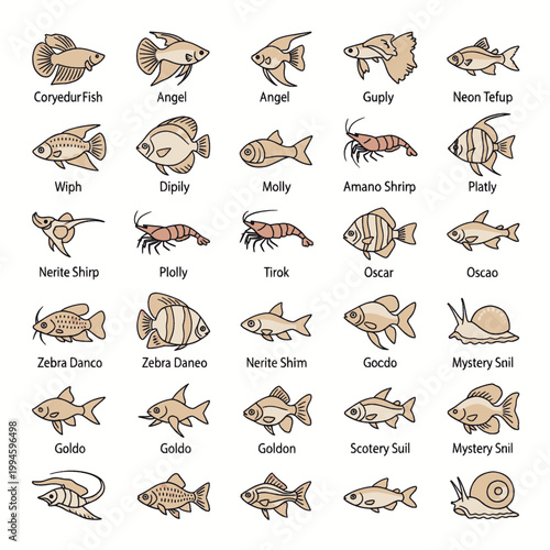 Collection of various freshwater aquarium fish and shrimp illustrations with names.