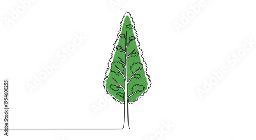 Simple illustration of a stylized coniferous tree with a textured crown and a thin trunk, set against a plain white background