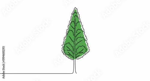 Stylized illustration of a tall, narrow, green coniferous tree with a thin brown trunk and visible branches, set against a white background