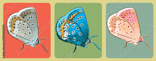 Three butterflies of different color. Sketch with imitation of watercolor. Vector set