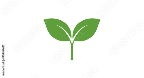 Foto Green leafy plant sprout icon.