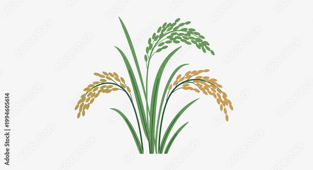 Fototapeta premium Stylized illustration of rice plant with vibrant colors on a white background design