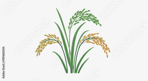 Stylized illustration of rice plant with vibrant colors on a white background design