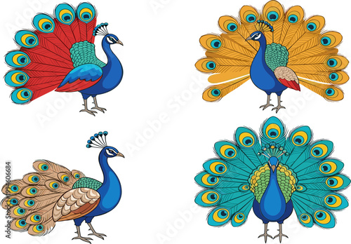 Peacock Bird Vector Set with Colorful Feathers, Elegant Poses and Detailed Plumage Illustration for Wildlife, Nature and Decorative Design