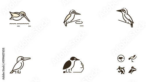 Geometric Wildlife Collection: Minimalist line art illustrations showcase various bird species in graceful poses, each image captures the essence of avian elegance.