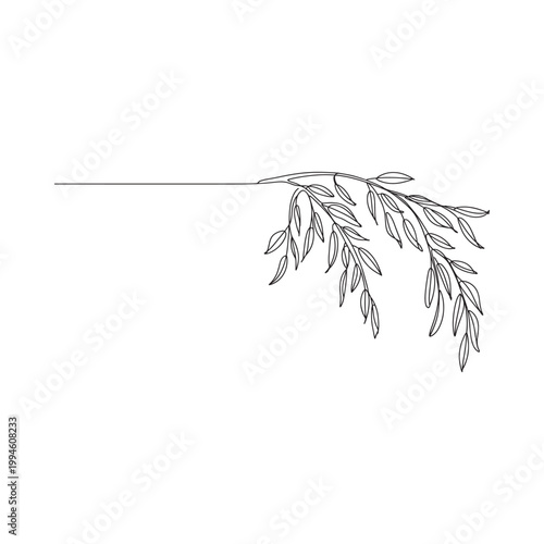 A delicate minimalist line drawing of a weeping willow branch