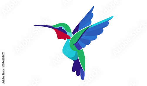 Colorful Hummingbird Vector Decorative Bird Flat Illustration Isolated on White