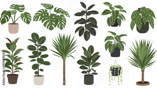Variety of green indoor house plants in different decorative pots arranged for an interior garden or stylish home decoration collection set.