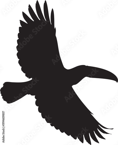 A black silhouette of a toucan bird with large beak and long tail bird beak