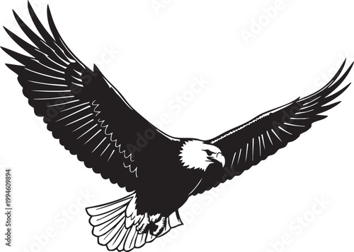 Black and white of a bald eagle in flight with spread wings bird