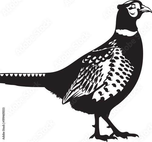 Black and white of a zebra standing on hind legs silhouette monochrome animal