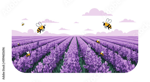 Bees flying over purple lavender.