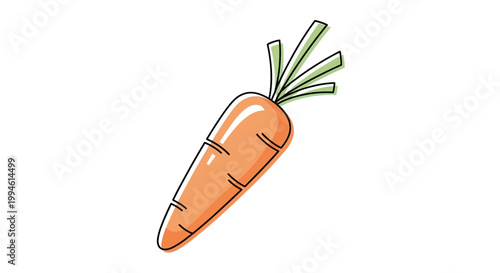 Fresh orange carrot vegetable illustration.