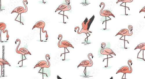 Flamingos standing in various poses.