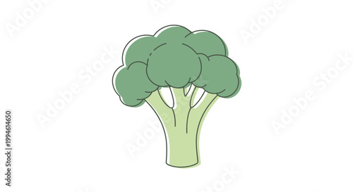 Green Broccoli Vegetable Close Up.