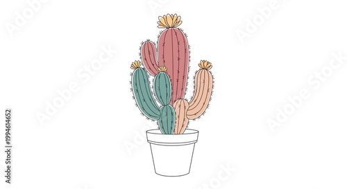 Colorful cactus in a pot plant.