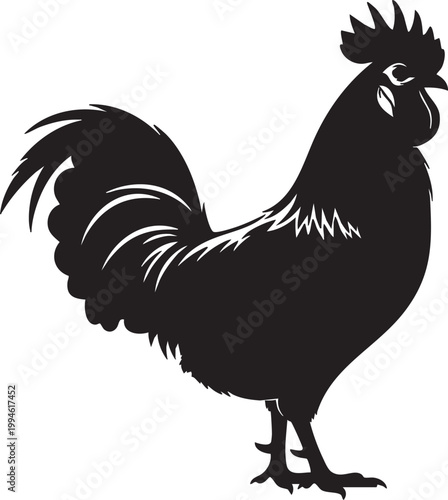 Black rooster silhouette standing on grass with detailed feathers and comb chicken silhouette