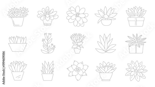 A collection of fifteen potted succulent plants are displayed in a minimalist black and white line art style on a plain white background high quality professional