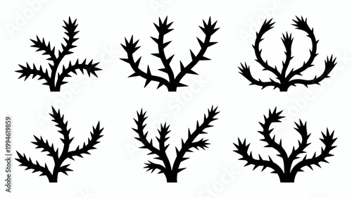 A collection of six black silhouettes depicts thorny branches resembling stylized cactus or plant elements against a white background high quality professional detailed modern elegant stylish