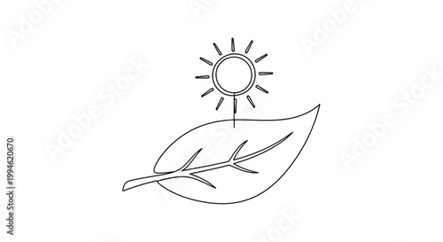 Sun shining on a green leaf, symbol of photosynthesis and nature's energy