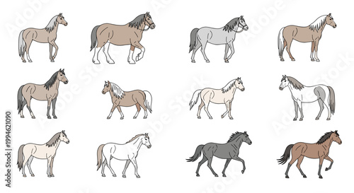 Horses in various colors.