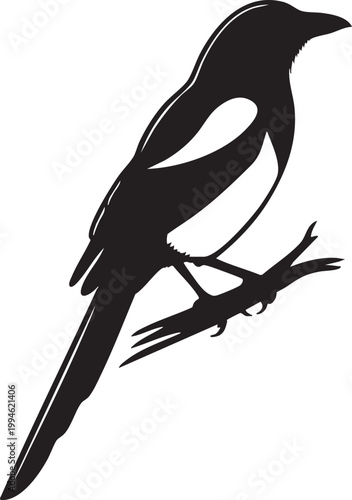 Black silhouette of a soaring eagle with outstretched wings and sharp talons bird of prey