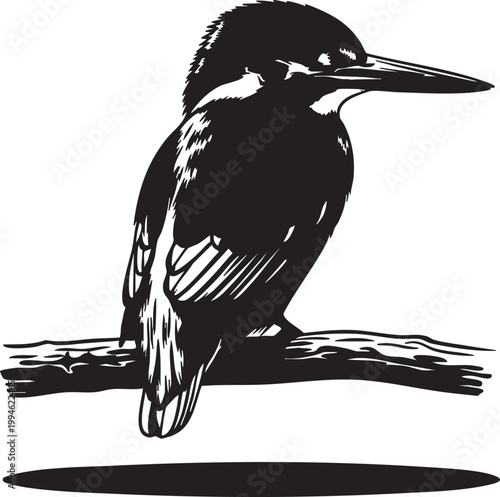 Detailed black silhouette of a perched bird with spread wings and tail wings spread tail fanned