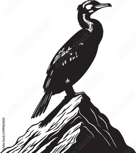 Silhouette of a cormorant bird perched on a branch with wings spread black white background