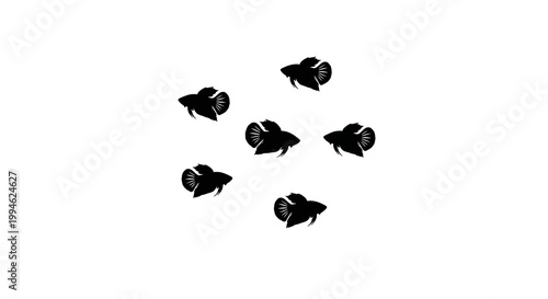 Five Silhouette Betta Fish Swimming in Circle on White Background