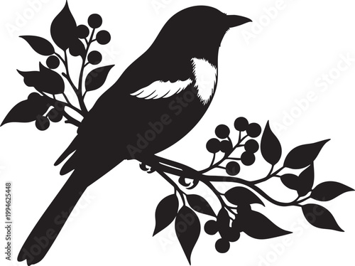 Sleek black crow silhouette perched on flowering branch against white background bird silhouette