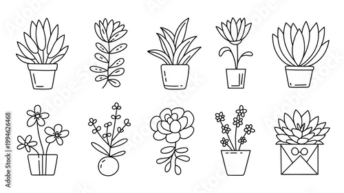 A collection of hand drawn botanical illustrations depicts various potted succulents and flowering plants in a minimalist black and white style high quality professional detailed modern