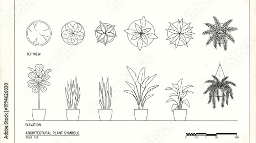 Architectural design elements featuring a diverse collection of plant symbols from top view and elevation perspectives, ideal for landscape planning and botanical illustrations