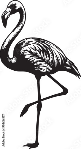 Sleek black silhouette of a peacock with ornate tail feathers displayed bird ornate plumage