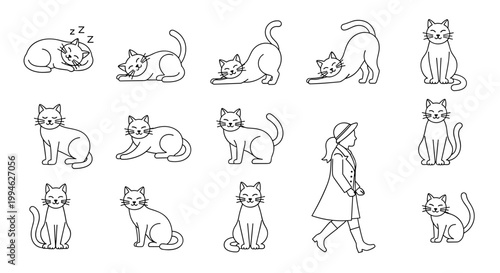 Cats and a woman walking.