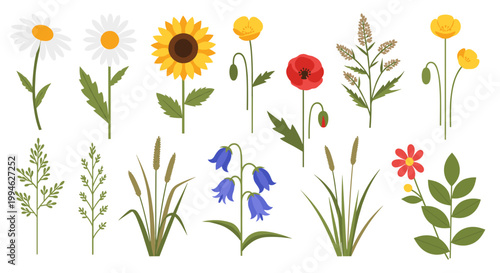 Colorful flowers and plants illustration.