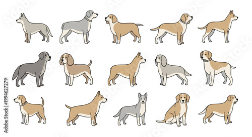Dogs in Various Breeds Standing.