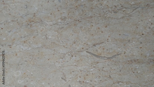 Close-up Polished Fossiliferous Limestone and Veined Travertine Marble Texture Slab
