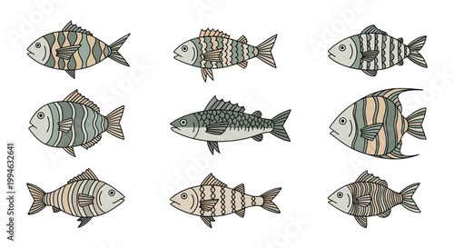 School of Various Coloured Fish.